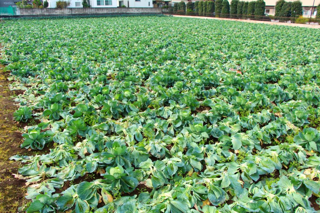 52aec251d3fa97578948ccbeb5e30a17_m